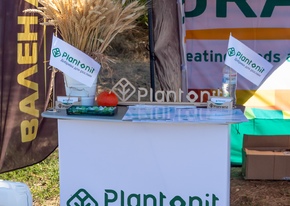 День поля Добрива Plantonit та Вален Агро