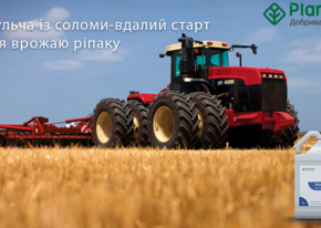 Мульча із соломи-вдалий старт для врожаю ріпаку