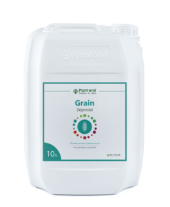 Grain