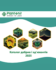 catalog